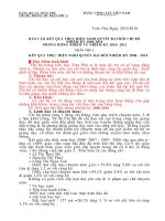 bao cao thuc hien nghi quyet chi bo -phuong huong