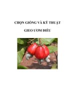 CHỌN GIỐNG VÀ KỸ THUẬT GIEO ƯƠM ĐIỀU pptx