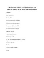 Cấp giấy chứng nhận đủ điều kiện kinh doanh hoạt động thể thao của câu lạc bộ th ể thao chuyên nghiệp docx