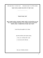 Chuyên đề nghiên cứu sinh: Phát triển dòng nơtron nhiệt trên cơ sở kênh ngang số 2 của lò phản ứng Đà Lạt và khả năng ứng dụng trong thực nghiệm đo số liệu hạt nhân