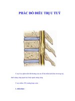 PHÁC ĐỒ ĐIỀU TRỊ U TUỶ potx
