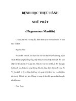 BỆNH HỌC THỰC HÀNH - NHŨ PHÁT (Plegmonous Mastitis) doc
