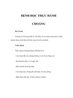 BỆNH HỌC THỰC HÀNH - CHOÁNG pptx