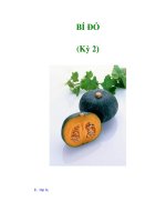 BÍ ĐỎ (Kỳ 2) docx