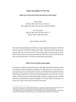 Hoàn Thiện Chiến Lược Phát Triển Công Nghiệp Việt Nam - Chương 7 doc