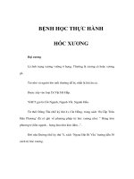 BỆNH HỌC THỰC HÀNH - HÓC XƯƠNG doc