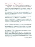 Chữa mụn trứng cá bằng y học cổ truyền pot