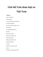 Giải thể Liên đoàn luật sư Việt Nam pdf