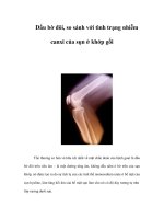 Dấu bờ đôi, so sánh với tình trạng nhiễm canxi của sụn ở khớp gối ppsx