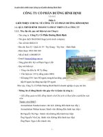 Hoạch định chiến lược công ty cổ phần đường Bình Định pps