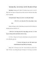 Ngữ pháp tiếng Anh-Anh hoặc Anh-Mỹ: Dấu phẩy & Bổ ngữ docx