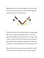 Màu sắc và Chất lượng In- Chương I: Ánh sáng và màu sắc- P2 docx