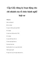 Cấp Giấy đăng ký hoạt động cho chi nhánh của tổ chức hành nghề luật sư docx