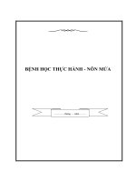 BỆNH HỌC THỰC HÀNH - NÔN MỬA pdf