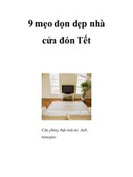 9 mẹo dọn dẹp nhà cửa đón Tết pdf