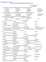 Đề tham khảo TN Anh_2010 số 29