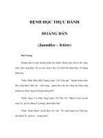 BỆNH HỌC THỰC HÀNH - HOÀNG ĐẢN (Jaundice – Ictère) pdf