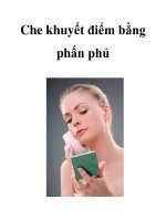 Che khuyết điểm bằng phấn phủ ppsx