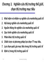Chương 3- Nghiên cứu thị trường thế giới, chọn thị trường mục tiêu ppt