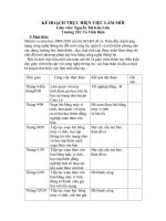 kế hoạch thực hiện việc làm mới