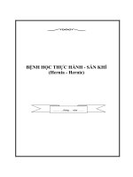 BỆNH HỌC THỰC HÀNH - SÁN KHÍ (Hernia - Hernie) pot