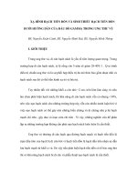 XẠ HÌNH HẠCH TIỀN ĐỒN VÀ SINH THIẾT HẠCH TIỀN ĐỒN DƯỚI HƯỚNG DẪN CỦA ĐẦU DÒ GAMMA TRONG UNG THƯ VÚ potx