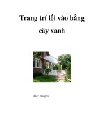 Trang trí lối vào bằng cây xanh potx