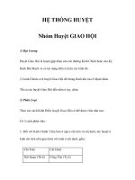 HỆ THỐNG HUYỆT - Nhóm Huyệt GIAO HỘI pps