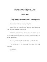 BỆNH HỌC THỰC HÀNH - CHÍN MÉ pptx