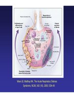 HƯỚNG DẪN THỞ MÁY CHO BỆNH NHÂN ARDS (PHẦN 2) pdf