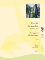 Technical Guide on Post-harvest of Banana doc