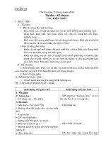 Tuan 33 b. 1 ( mung )