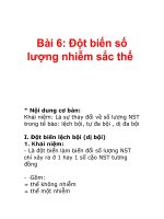 Bài 6: Đột biến số lượng nhiễm sắc thể pot