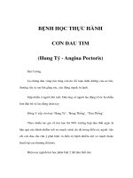 BỆNH HỌC THỰC HÀNH - CƠN ĐAU TIM potx