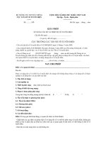 Mẫu giấy phép sử dụng tần số và thiết bị vô tuyến điện pps