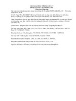 các loại máy tính cầm tay được mang vào phòng thi