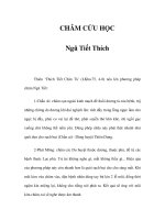 CHÂM CỨU HỌC - Ngũ Tiết Thích pot