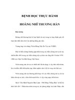 BỆNH HỌC THỰC HÀNH - HOÀNG NHĨ THƯƠNG HÀN pot