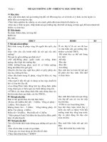 Giáo án Đội 9 (cả năm)