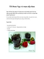 Tết Đoan Ngọ và rượu nếp than docx