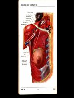 Atlas giải phẫu người - Phần 7 doc
