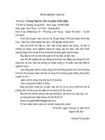 Biểu mẫu Kinh nghiệm công tác potx