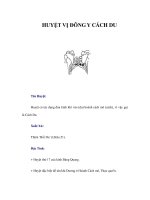 HUYỆT VỊ ĐÔNG Y CÁCH DU doc