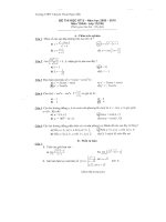 De HKII (CB) 2009-2010 Thoại Ngoc Hau AG