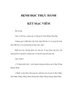 BỆNH HỌC THỰC HÀNH - KẾT MẠC VIÊM docx
