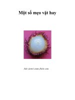 Một số mẹo vặt hay pdf