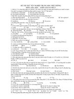 de de thi thu TNTHPT 2010-THPT Ba Chuc