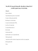 Sửa đổi, bổ sung nội dung giấy cấp phép sử dụng tần số và thiết bị phát sóng vô tuyến điện pdf