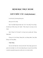BỆNH HỌC THỰC HÀNH - GIUN MÓC CÂU (Ankylostome) pdf