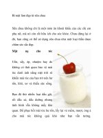 Bí mật làm đẹp từ sữa chua potx